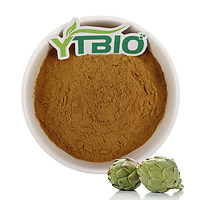 Artichoke Extract