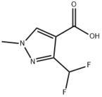 3-(Difluoromethyl)-1-methyl-1H-pyrazole-4-carboxylic acid