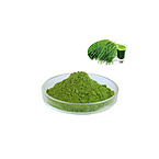 4:1-20:1 Wheatgrass Extract Organic Wheat Grass Juice Powder