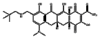 Omadacycline Impurity 2YWP-IM-02