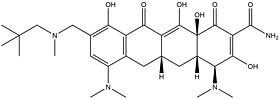 Omadacycline Impurity 6YWP-IM-06