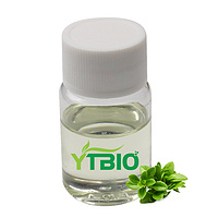 Thyme Oil