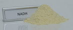 β-Nicotinamide adenine dinucleotide disodium salt（NADH）