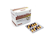 Amoxicillin capsules