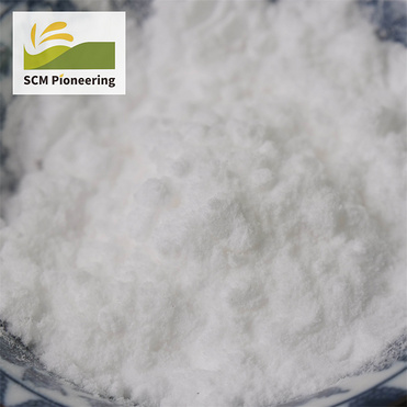 5000kg 20kg Drum Sweetener Sucralose in Stock