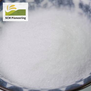 Pharmaceutical Grade Excipients Sucralose Powder CAS: 56038-13-2