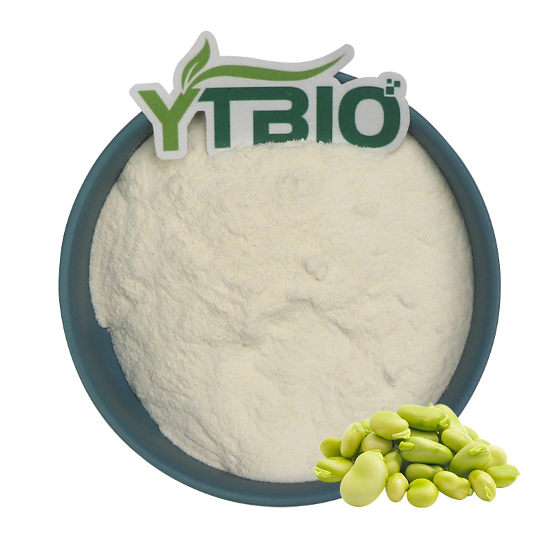 FAVA bean protein