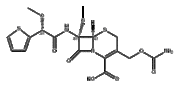 Decarbamoylcefoxitin Cefoxitin Impurity E