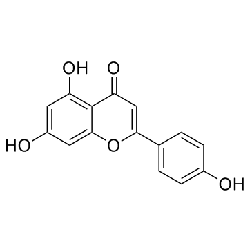 Apigenin Powder  