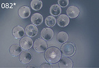 Puredex? Cyto-1 Microcarrier