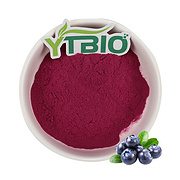 blueberry powder
