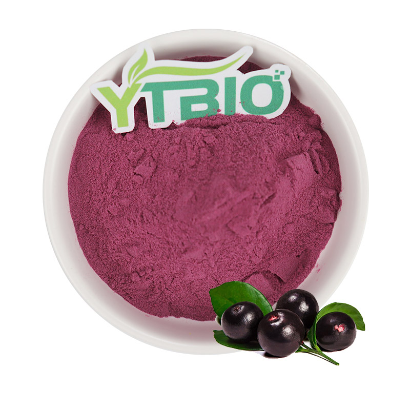 Acai Powder