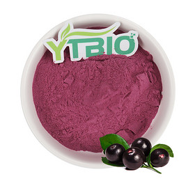 Acai Powder