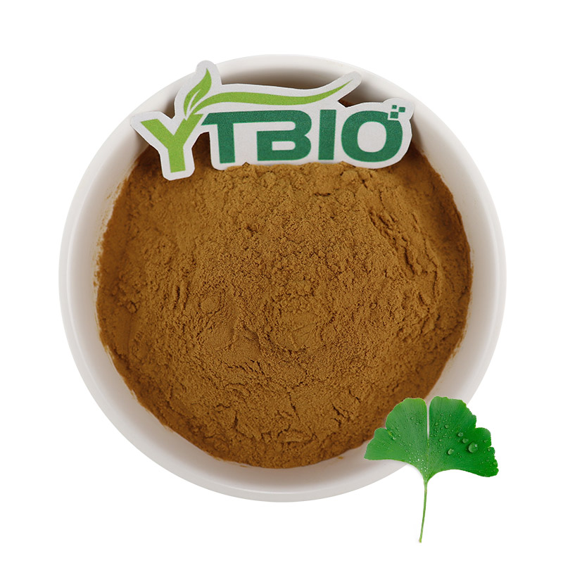 Ginkgo biloba extract