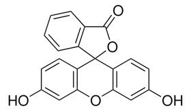 Fluorescein