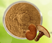 Ganoderma lucidum polysaccharide