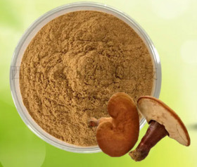 Ganoderma lucidum polysaccharide