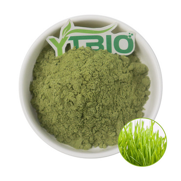 Wheatgrass Extract