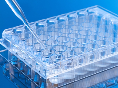 Urgent Sourcing Needs of【PharmaSources.com】Sep.14th, 2021 | Pharmasources.com
