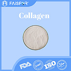 Collagen