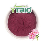 Hibiscus Flower Extract