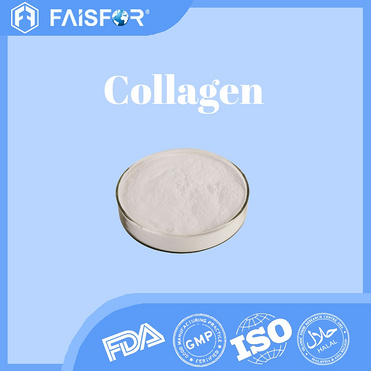 Collagen