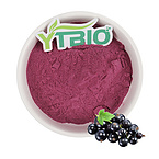 blackcurrant powder