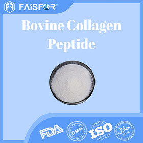 Bovine Collagen