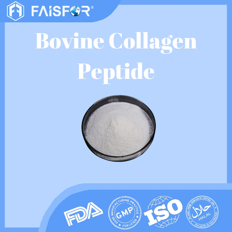 Bovine Collagen  