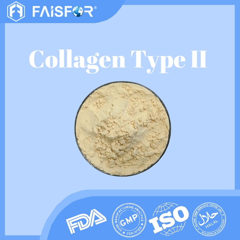 Hydrolyzed Collagen Type II  