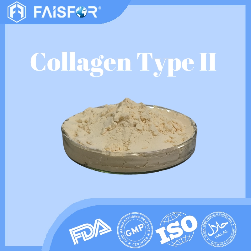 Hydrolyzed Collagen Type II