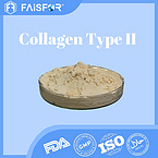 Hydrolyzed Collagen Type II