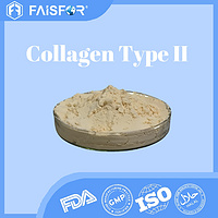 Hydrolyzed Collagen Type II