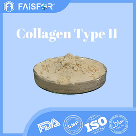 Hydrolyzed Collagen Type II