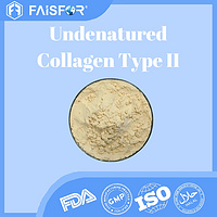 Undenatured Collagen Type II