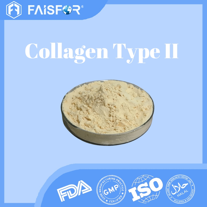 Hydrolyzed Collagen Type II  