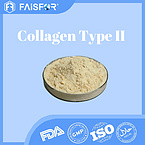 Hydrolyzed Collagen Type II