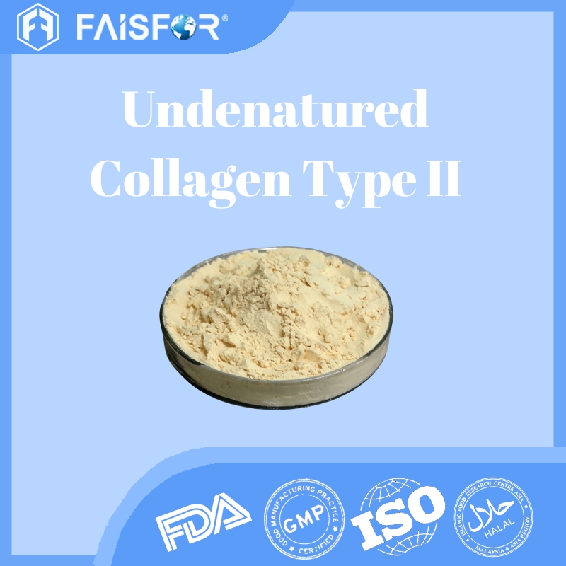 Undenatured Collagen Type II  