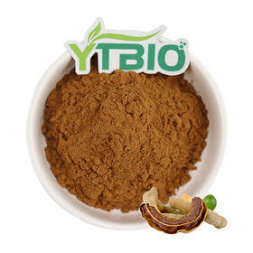 Tamarind Extract