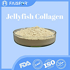 Jellyfish Collagen