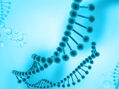Research Progress on the Mechanisms of Immunomodulatory Effects of Plant Polysaccharides (Part I) - PharmaSources.com