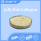 Jellyfish Collagen