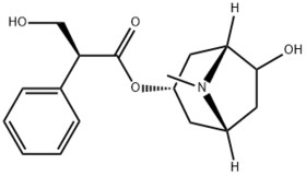 Anisodamine