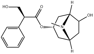 Anisodamine  