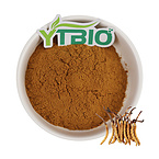 Cordyceps sinensis extract