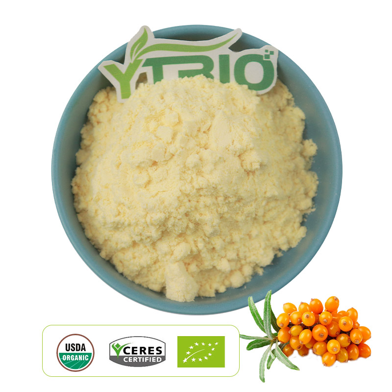 Organic seabuckthorn powder