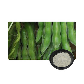 Bulk Natural Mucuna Pruriens Extract Powder from Seed