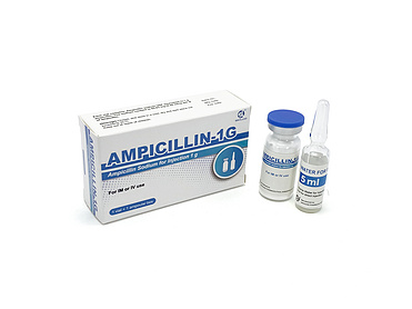 Ampicillin Sodium for Injection 1g