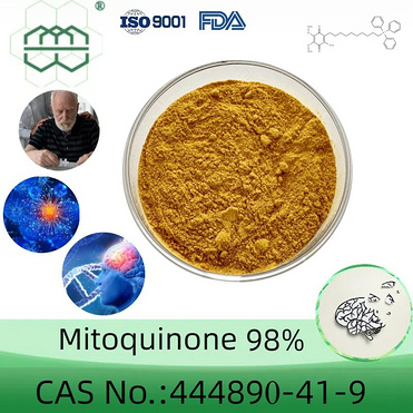 High-quality Mitoquinone manufacturer  CAS No.:444890-41-9  25%/98% purity min.  supplements ingredi