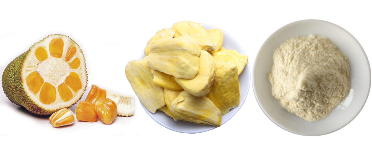 Jackfruit Powder fresh fruit powder